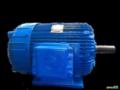 Motor elétrico 75 cv Tri 1700 rpm 4 p Recondicionado C3022 Imagem Motor elétrico 75 cv Tri 1700 rpm 4 p Recondicionado C3022