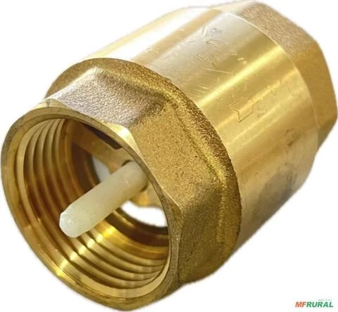 Válvula De Retenção Vertical 1 Imagem Válvula De Retenção Vertical 1