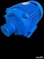 Motor Elétrico 3/4 cv 0,75 hp Trif Weg Eberle Kohlback 800 rpm 8 polos C2083 Imagem Motor Elétrico 3/4 cv 0,75 hp Trif Weg Eberle Kohlback 800 rpm 8 polos C2083