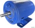 Motor Elétrico 1/3 cv 0,33 hp Monofásico Weg Eberle 3500 rpm 2 polos C2117 Imagem Motor Elétrico 1/3 cv 0,33 hp Monofásico Weg Eberle 3500 rpm 2 polos C2117