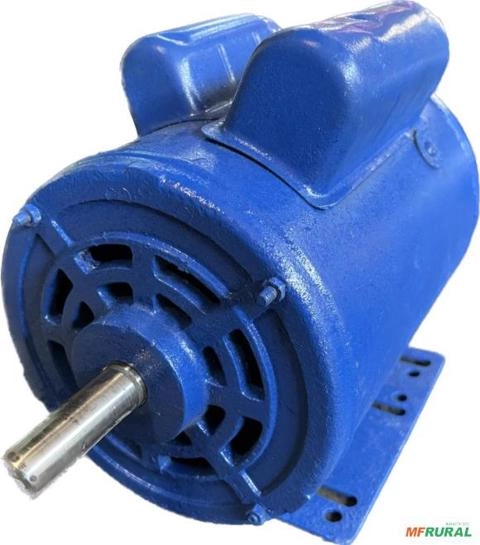 Motor Elétrico 2 cv 2 hp Monofásico Weg Eberle 3500 Rpm 2 Polos 804210