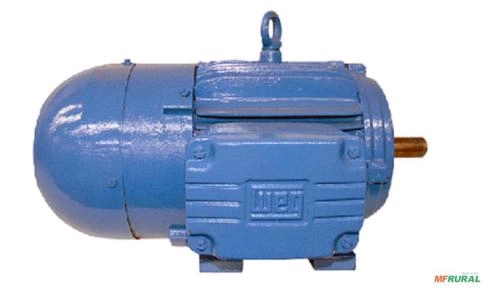 Motofreio Motor Elétrico Com Freio 1/3 hp 0,33 cv C2300 Imagem Motofreio Motor Elétrico Com Freio 1/3 hp 0,33 cv C2300