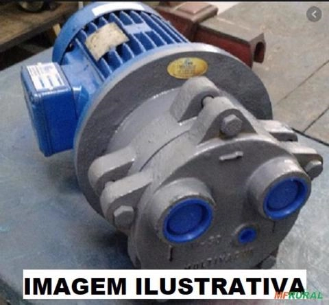 Moto Bomba Vácuo Anel Liquido Inox 2 cv hp Weg C2535 Imagem Moto Bomba Vácuo Anel Liquido Inox 2 cv hp Weg C2535