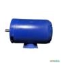 Motor Elétrico 1,5 Cv Hp 1700 Rpm 4p ABERTO usado C2276 Imagem Motor Elétrico 1,5 Cv Hp 1700 Rpm 4p ABERTO usado C2276