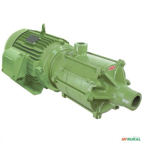 Moto Bomba Dágua Multi Estágio 1/2 cv 0,5 hp Usado Jockey C2163 Imagem Moto Bomba Dágua Multi Estágio 1/2 cv 0,5 hp Usado Jockey C2163