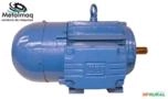 Motofreio motor elétrico com freio 2 hp 2 cv 1700 RPM/3500 RPM C2305 Imagem Motofreio motor elétrico com freio 2 hp 2 cv 1700 RPM/3500 RPM C2305