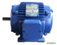 Motor elétrico 1/4 cv Trifasico 1700 rpm 4 polos Revis C3001 Imagem Motor elétrico 1/4 cv Trifasico 1700 rpm 4 polos Revis C3001