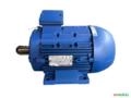 Motor elétrico 4 cv Tri 1700 rpm 4 p Recondicionado C3009 Imagem Motor elétrico 4 cv Tri 1700 rpm 4 p Recondicionado C3009