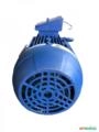 Motor elétrico 4 cv Tri 1700 rpm 4 p Recondicionado C3009 Imagem Motor elétrico 4 cv Tri 1700 rpm 4 p Recondicionado C3009