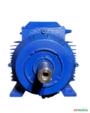 Motor elétrico 7,5 cv Tri 1700 rpm 4 p Recondicionado C3012 Imagem Motor elétrico 7,5 cv Tri 1700 rpm 4 p Recondicionado C3012