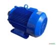 Motor elétrico 20 cv Tri 1700 rpm 4 p Recondicionado C3016 Imagem Motor elétrico 20 cv Tri 1700 rpm 4 p Recondicionado C3016