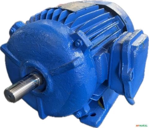 Imagem Motor elétrico 1/2 cv Tri 3500 rpm 2 p Recondicionado C3034 Imagem Motor elétrico 1/2 cv Tri 3500 rpm 2 p Recondicionado C3034