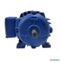 Motor elétrico 1,5 cv 1,5 hp Trif weg 1700 rpm 4 p C4036 Imagem Motor elétrico 1,5 cv 1,5 hp Trif weg 1700 rpm 4 p C4036