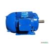 Motor elétrico 3 cv Tri 1700 rpm 4 p Recondicionado C3008 Imagem Motor elétrico 3 cv Tri 1700 rpm 4 p Recondicionado C3008