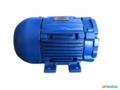 Motor Elétrico 1/2 cv 0,50 hp Trif Weg 3500rpm 2polos C4064 Imagem Motor Elétrico 1/2 cv 0,50 hp Trif Weg 3500rpm 2polos C4064