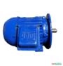 Motor Elétrico 3 cv 3 hp Trif Weg 3500rpm 2polos C4069 Imagem Motor Elétrico 3 cv 3 hp Trif Weg 3500rpm 2polos C4069