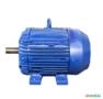 Motor elétrico 10 cv  10 hp Trif weg  1700 rpm 4 polos C4043 Imagem Motor elétrico 10 cv  10 hp Trif weg  1700 rpm 4 polos C4043