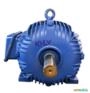 Motor elétrico 10 cv  10 hp Trif weg  1700 rpm 4 polos C4043 Imagem Motor elétrico 10 cv  10 hp Trif weg  1700 rpm 4 polos C4043