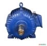 Motor elétrico12,5 cv 12,5 hpTrif weg 1700 rpm 4 polos C4044 Imagem Motor elétrico12,5 cv 12,5 hpTrif weg 1700 rpm 4 polos C4044