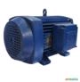 Motor elétrico 20 cv 20 hp Trif weg 1700 rpm 4 polos C4046 Imagem Motor elétrico 20 cv 20 hp Trif weg 1700 rpm 4 polos C4046