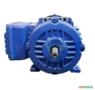 Motor elétrico 1/6 cv 0,16 hp Trif weg 3500rpm 2polos C4061 Imagem Motor elétrico 1/6 cv 0,16 hp Trif weg 3500rpm 2polos C4061