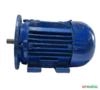 Motor elétrico 3/4 cv 0,75 hp Trif weg 3500rpm 2polos C4065 Imagem Motor elétrico 3/4 cv 0,75 hp Trif weg 3500rpm 2polos C4065