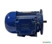 Motor elétrico 3/4 cv 0,75 hp Trif weg 3500rpm 2polos C4065 Imagem Motor elétrico 3/4 cv 0,75 hp Trif weg 3500rpm 2polos C4065