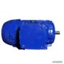 Motor elétrico 5 cv 5 hp Trif weg 3500rpm 2polos C4071 Imagem Motor elétrico 5 cv 5 hp Trif weg 3500rpm 2polos C4071