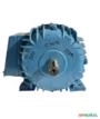 Motor elétrico 5 cv 5 hp Trif weg 3500rpm 2polos C4071 Imagem Motor elétrico 5 cv 5 hp Trif weg 3500rpm 2polos C4071