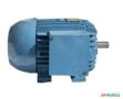 Motor elétrico 5 cv 5 hp Trif weg 3500rpm 2polos C4071 Imagem Motor elétrico 5 cv 5 hp Trif weg 3500rpm 2polos C4071