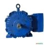 Motor elétrico 6 cv 6 hp Trif weg 3500rpm 2polos C4072 Imagem Motor elétrico 6 cv 6 hp Trif weg 3500rpm 2polos C4072