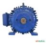 Motor elétrico 20 cv 20 hp Trif weg 3500rpm 2polos C4077 Imagem Motor elétrico 20 cv 20 hp Trif weg 3500rpm 2polos C4077