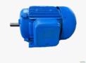 Motor elétrico 2 cv 2 hp Trif weg Eberle Kohlback 800 rpm 8 polos C2086 Imagem Motor elétrico 2 cv 2 hp Trif weg Eberle Kohlback 800 rpm 8 polos C2086
