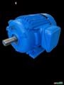 Motor elétrico 2 cv 2 hp Trif weg Eberle Kohlback 800 rpm 8 polos C2086 Imagem Motor elétrico 2 cv 2 hp Trif weg Eberle Kohlback 800 rpm 8 polos C2086