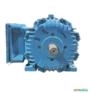 Motor Elétrico 5 Cv 5 Hp Trif weg 1700 Rpm 4 Polos C4040 Imagem Motor Elétrico 5 Cv 5 Hp Trif weg 1700 Rpm 4 Polos C4040