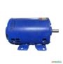 Motor Elétrico 2 Cv Hp 1700 Rpm 4p ABERTO usado Trifásico C2277 Imagem Motor Elétrico 2 Cv Hp 1700 Rpm 4p ABERTO usado Trifásico C2277