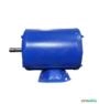 Motor Elétrico 1/2 Cv Hp 1700 Rpm 4p ABERTO usado C2273 Imagem Motor Elétrico 1/2 Cv Hp 1700 Rpm 4p ABERTO usado C2273