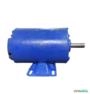 Motor Elétrico 1/4 Cv Hp 3500 rpm 2 p ABERTO usado Trifásico C2282 Imagem Motor Elétrico 1/4 Cv Hp 3500 rpm 2 p ABERTO usado Trifásico C2282