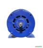 Motor Elétrico 1/3 Cv Hp 3500 rpm 2 p ABERTO usado Trifásico C2283 Imagem Motor Elétrico 1/3 Cv Hp 3500 rpm 2 p ABERTO usado Trifásico C2283