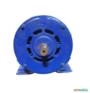 Motor Elétrico 1/2 Cv Hp 3500 rpm 2 p ABERTO usado Trifásico C2284 Imagem Motor Elétrico 1/2 Cv Hp 3500 rpm 2 p ABERTO usado Trifásico C2284