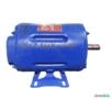 Motor Elétrico 1/2 Cv Hp 3500 rpm 2 p ABERTO usado Trifásico C2284 Imagem Motor Elétrico 1/2 Cv Hp 3500 rpm 2 p ABERTO usado Trifásico C2284