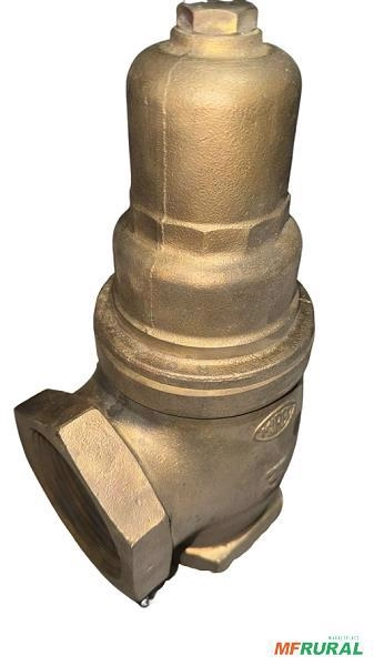 Válvula De Segurança Com Capuz 3 Polegadas Em Latão C8495 Imagem Válvula De Segurança Com Capuz 3 Polegadas Em Latão C8495