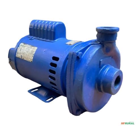 Moto bomba dágua 1,5 cv 1,5 hp mono KSB Dancor C2153 Imagem Moto bomba dágua 1,5 cv 1,5 hp mono KSB Dancor C2153