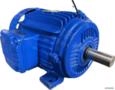 Motor elétrico 2 cv 2 hp Trif weg Eberle Kohlback 1100 rpm 6 polos c2063 Imagem Motor elétrico 2 cv 2 hp Trif weg Eberle Kohlback 1100 rpm 6 polos c2063