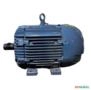 Motor elétrico 5 cv 5 hp Trif weg Eberle Kohlback 1100 rpm 6 polos c2066 Imagem Motor elétrico 5 cv 5 hp Trif weg Eberle Kohlback 1100 rpm 6 polos c2066