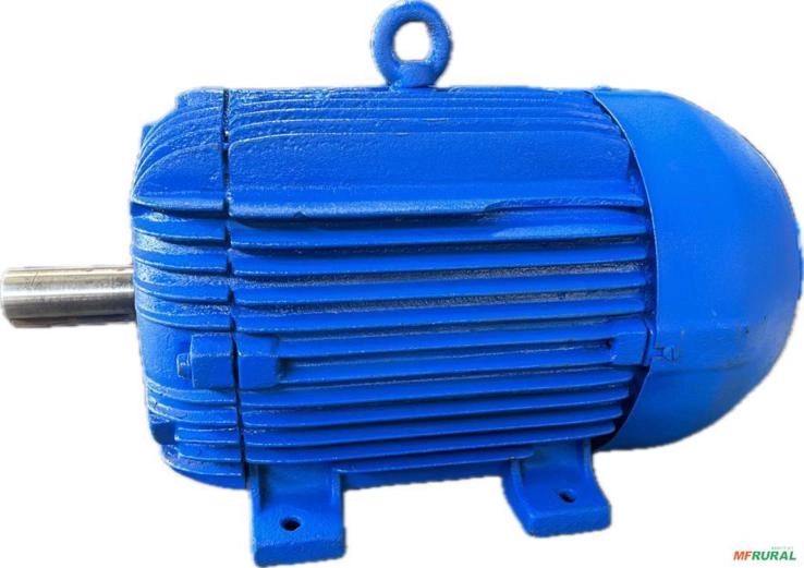 Motor elétrico 10 cv 10 hp Trif weg Eberle Kohlback 1100 rpm 6 polos c2069 Imagem Motor elétrico 10 cv 10 hp Trif weg Eberle Kohlback 1100 rpm 6 polos c2069