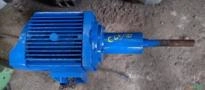 Politriz de bancada 5 cv 1700 RPM de baixa C6548 Imagem Politriz de bancada 5 cv 1700 RPM de baixa C6548