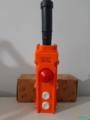 Botoeira Controle de Talha 2 movimentos C6290 Imagem Botoeira Controle de Talha 2 movimentos C6290