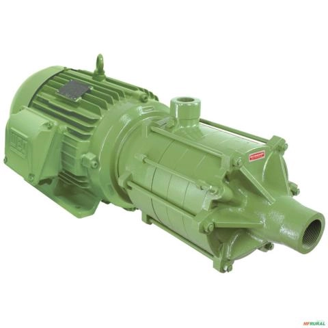 Moto bomba dágua Multi Estágio 4 e 5 cv 4 e 5 hp Usado Jockey C2167 Imagem Moto bomba dágua Multi Estágio 4 e 5 cv 4 e 5 hp Usado Jockey C2167