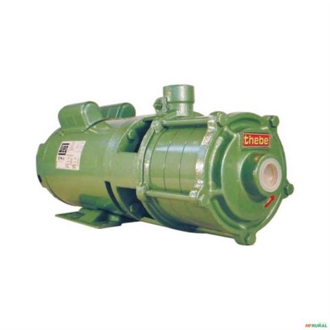 Imagem Moto bomba dágua Multi Estágio 4 e 5 cv 4 e 5 hp Usado Jockey C2167 Imagem Moto bomba dágua Multi Estágio 4 e 5 cv 4 e 5 hp Usado Jockey C2167